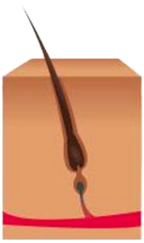 Représentation de la phase